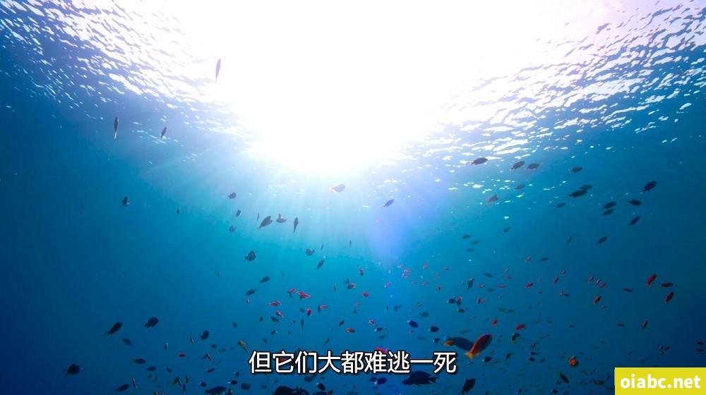作者你的男主黑化了剧照3